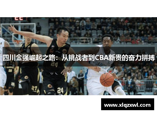 四川金强崛起之路：从挑战者到CBA新贵的奋力拼搏